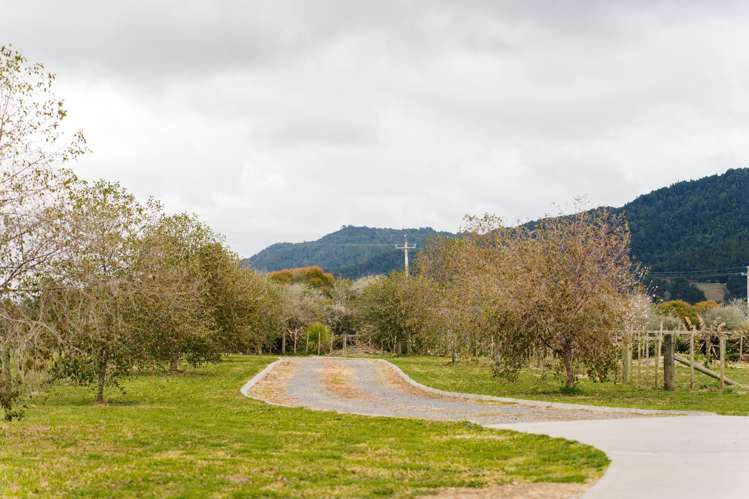 22 Twining Road Mangatawhiri_7