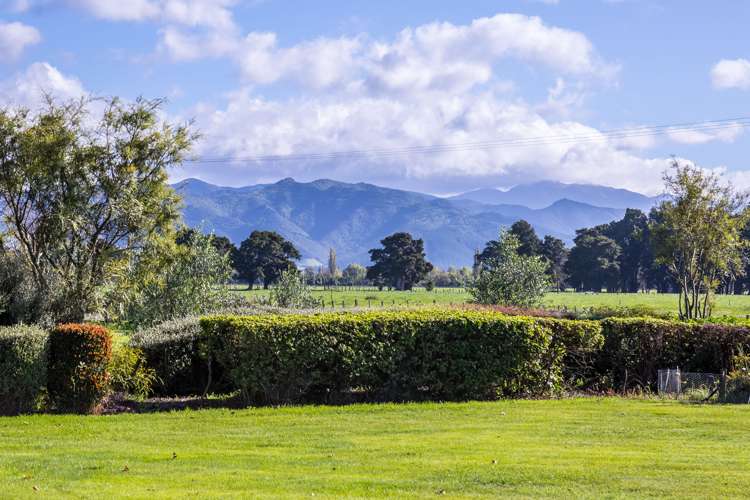 23 North Street Greytown_11