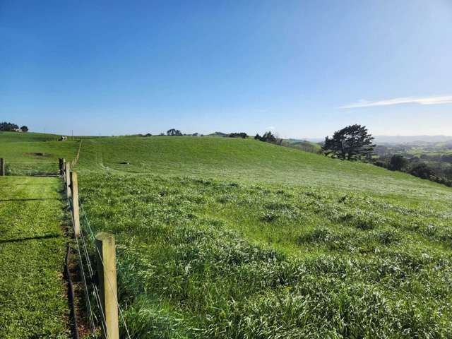 697 Maungatawhiri Road Raglan_1