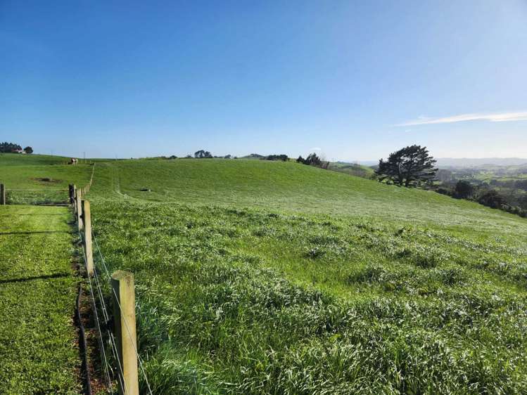 697 Maungatawhiri Road Raglan_1