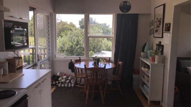 163 Arapuni Street Putaruru_4