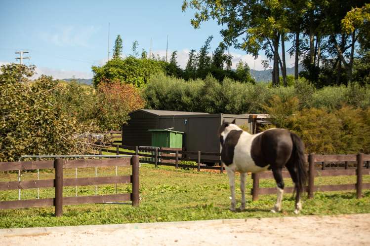 126 Willoughby Road Katikati_17