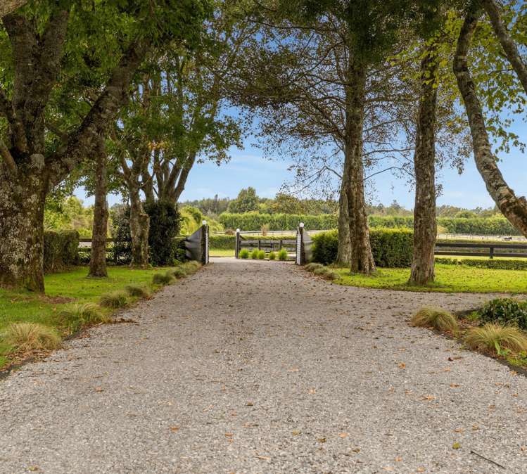 1235 Omanawa Road Omanawa_6