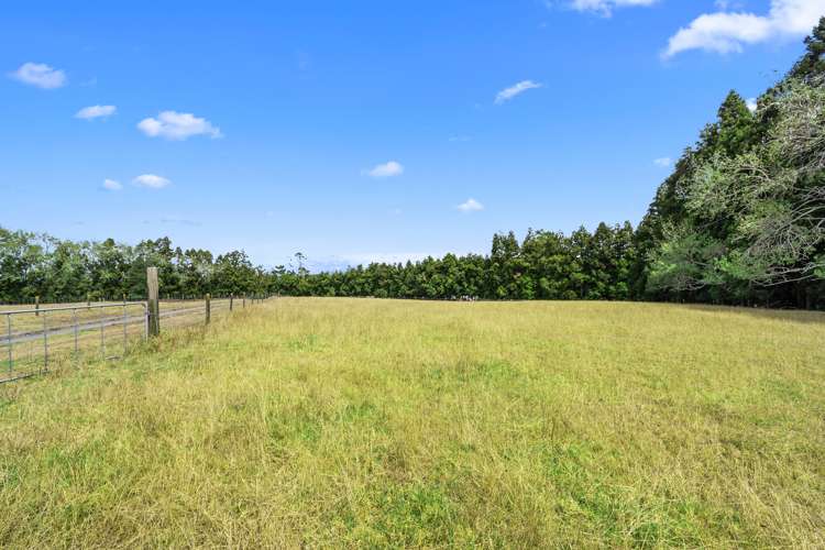 50b Te Pua Road Kaikohe_17