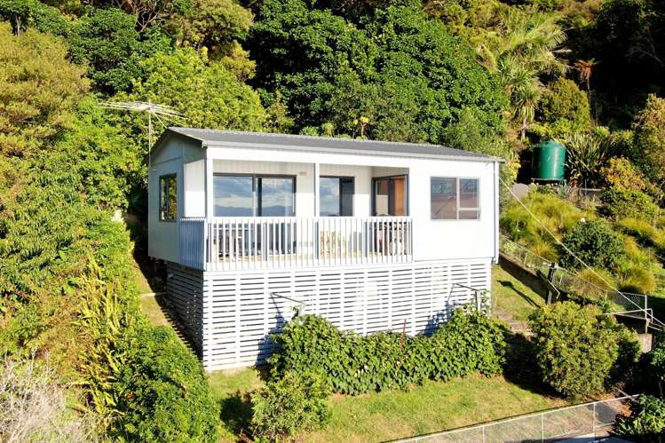 808 Thames Coast Road Te Mata_13