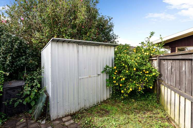 1a Winstone Avenue Chartwell_12