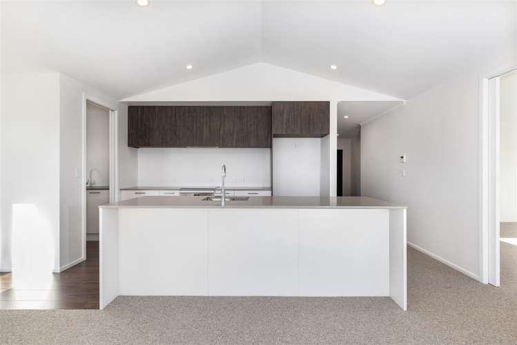 31 Nikau Drive Redwoodtown_12