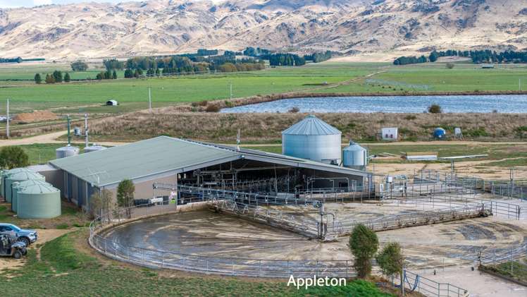 Aurora Dairies Te Pirita_8