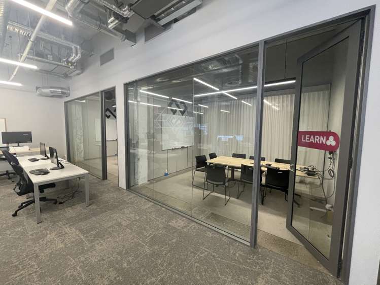 24 Balfour Road Parnell_12