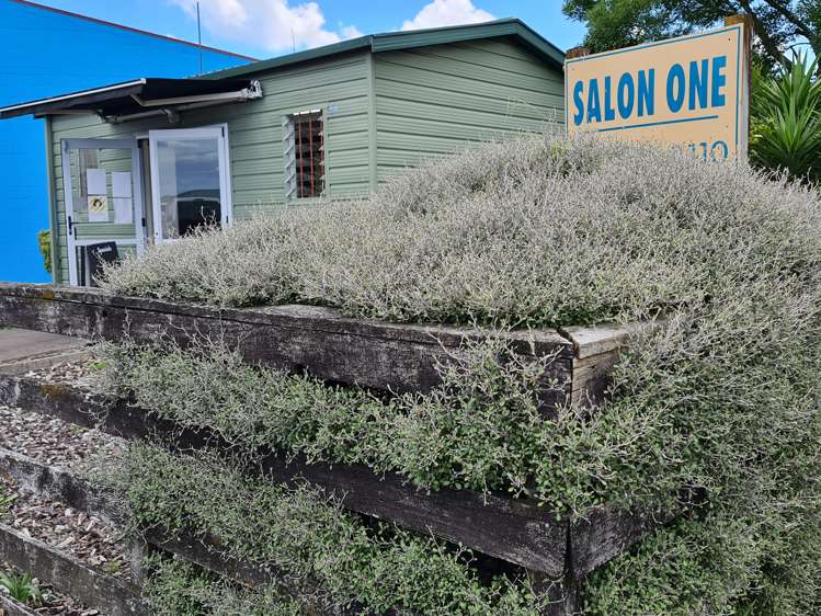 68 Parry Palm Avenue Waihi_1