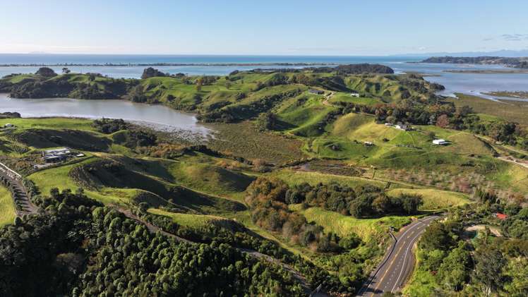 841 and 841A Wainui Road_5