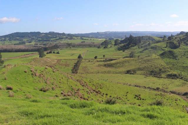 Marua Road Hikurangi_4