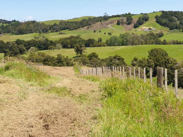 Lot/102 Franklin Road Paparoa_1