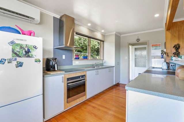 20 Manson Street Taumarunui_2