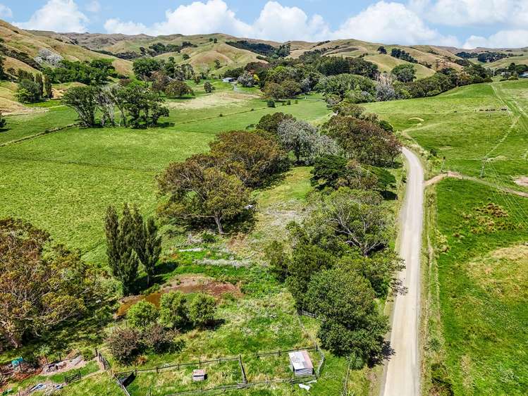 603 Te Akau South Road Te Akau_3