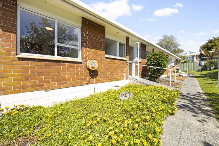 11/16 Willerton Avenue New Lynn_2