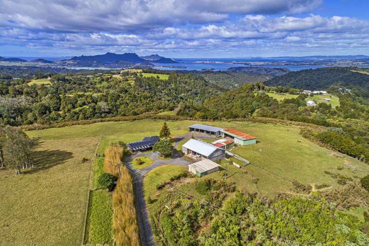 99 Franklin Road Parua Bay_18