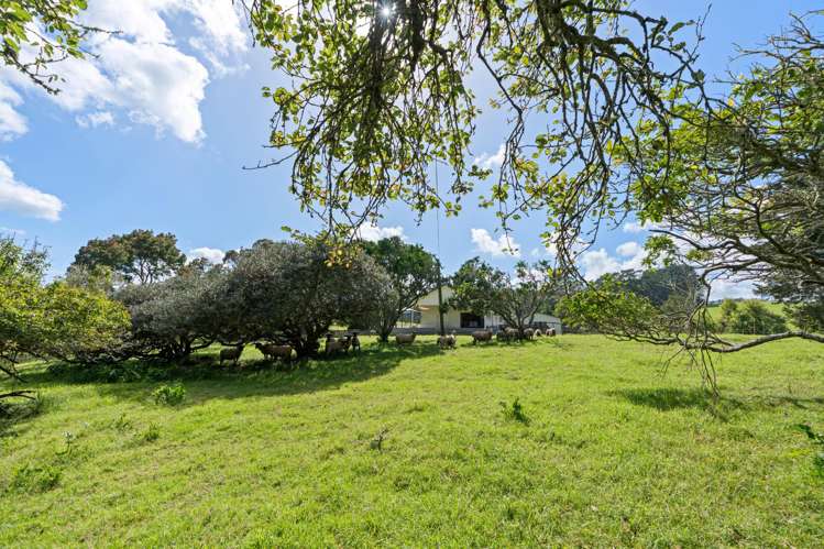 174 Kaipara Coast Highway Helensville_17