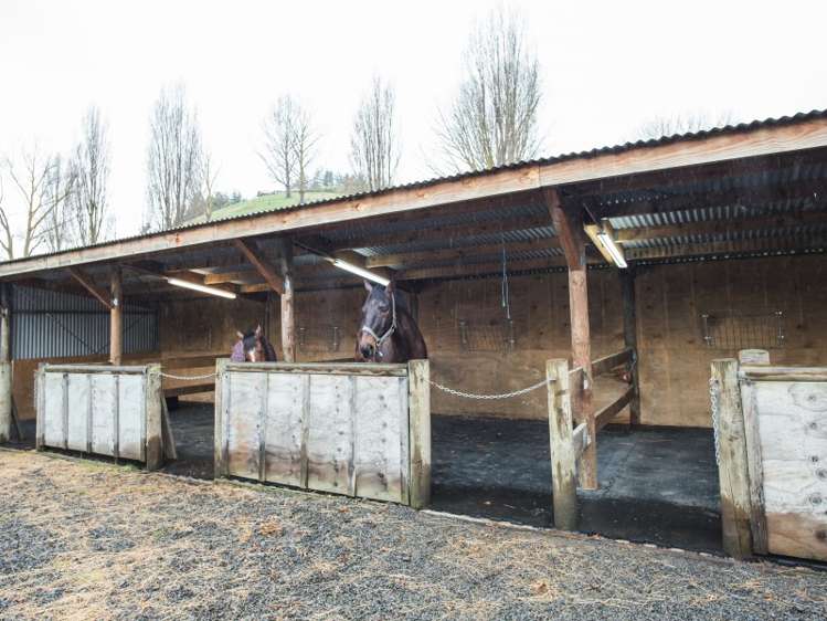 21 Raratu Road Central Hawkes Bay Coastal_18