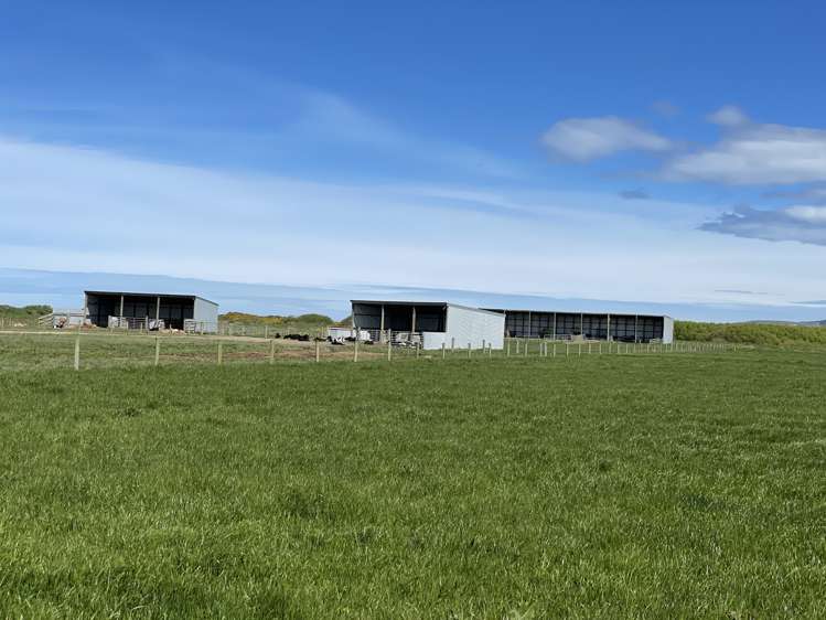 799 Kaka Point Road Balclutha_5