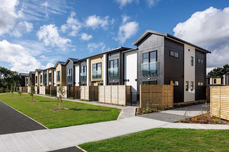 4 Te Ara O Papatahi Wainuiomata_8