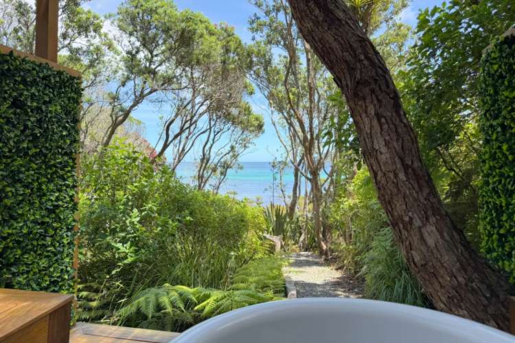 403 Shoal Bay Road Great Barrier Island_19