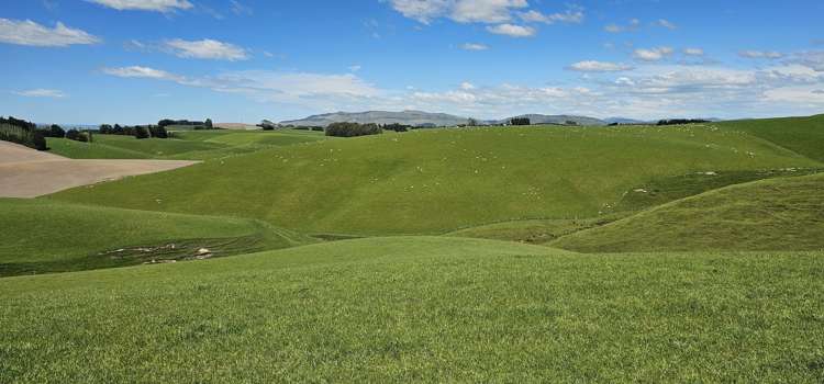 406 Byars Road Chatton North_17