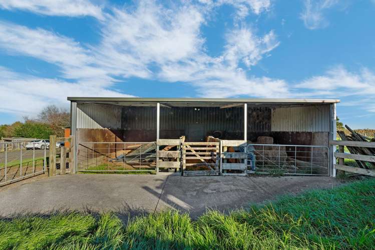 46 McCready Road Tuakau_13