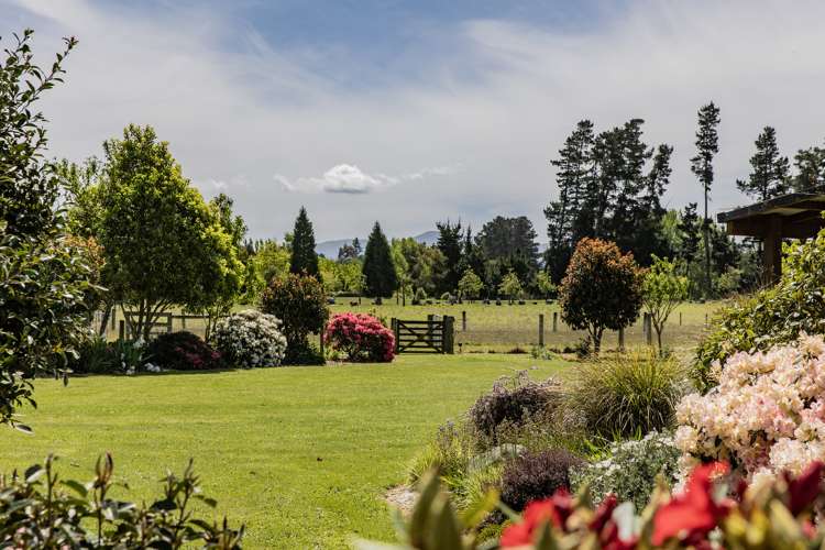 238 Loburn Whiterock Road Loburn_15