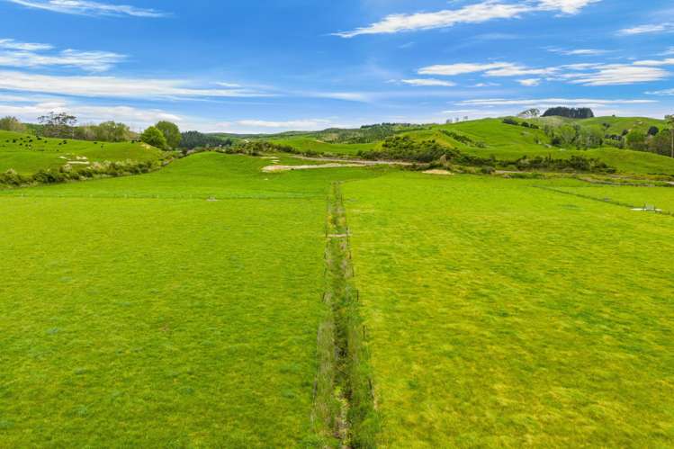 Omana Road Tangiteroria_9