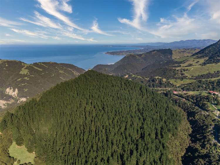 184 Blue Duck Valley Road Seaward Valley_6