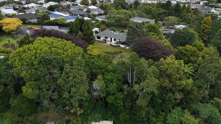 184c Seaview Road Westown_26