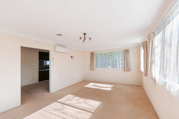 78b Sixth Avenue Tauranga Central_6