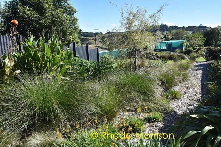 208 Heatley Road Whakapirau_58