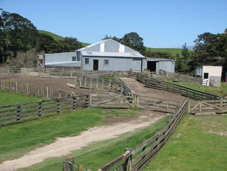 1072 Mangatuna Road Rangitikei Surrounds_13