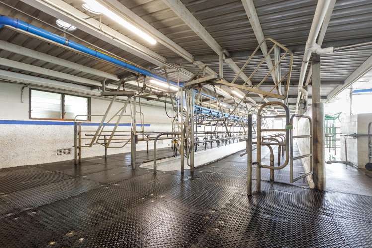 133 Flume Road Te Miro_7