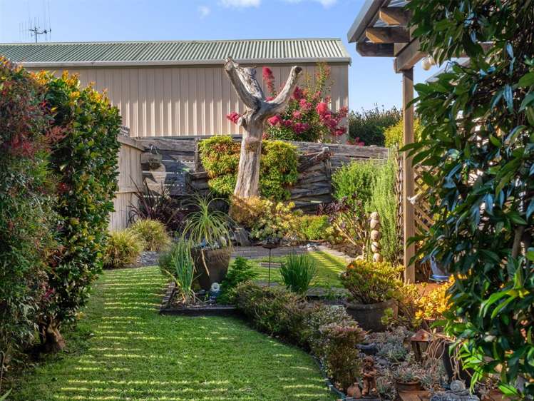 19b Carisbrooke Street Katikati_4