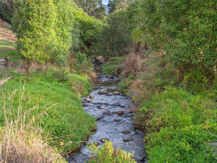 163 Arthur Road Te Pahu_29