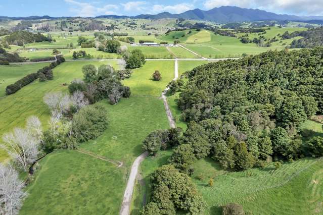 Winter Milk Whangarei Dairy Farm Must Sell