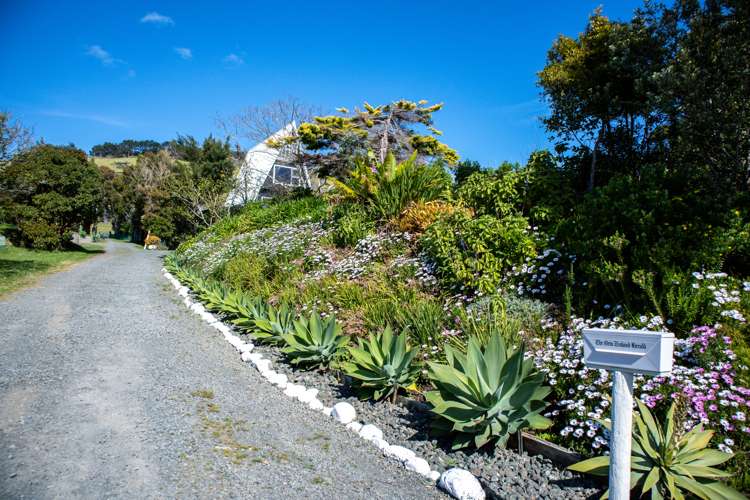 291 Hokianga Harbour Drive Omapere_50