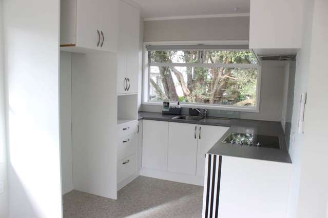5/33 Tawhiri Road One Tree Hill_3