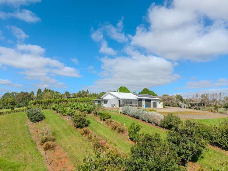 89 Conifer Lane Kerikeri_25