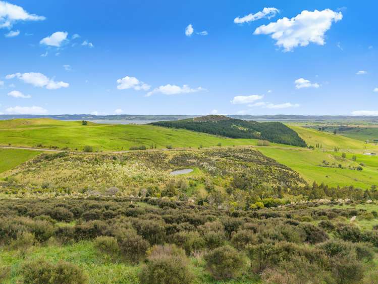 Te Kowhai Road Matakohe_10
