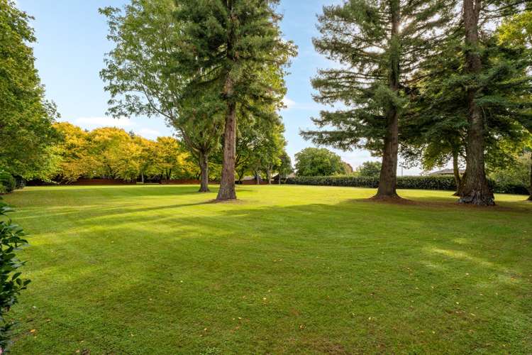 1/59c Western Ave Omokoroa Beach_10