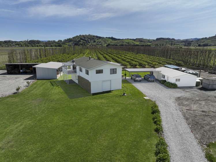 123 Bond Road Ormond_7