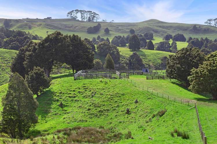 895 Wairamarama Onewhero Road Onewhero_6