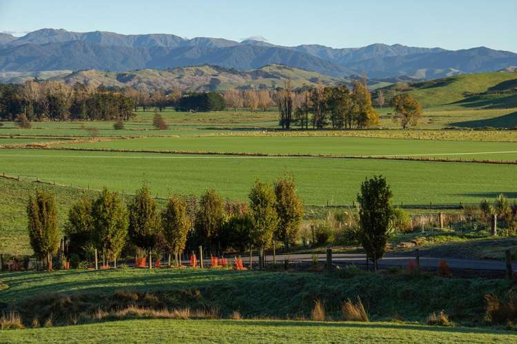 Lot 2 Bluff Rangitumau Road Masterton_17
