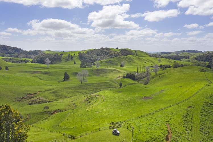 2140 State Highway 4 Aria_23