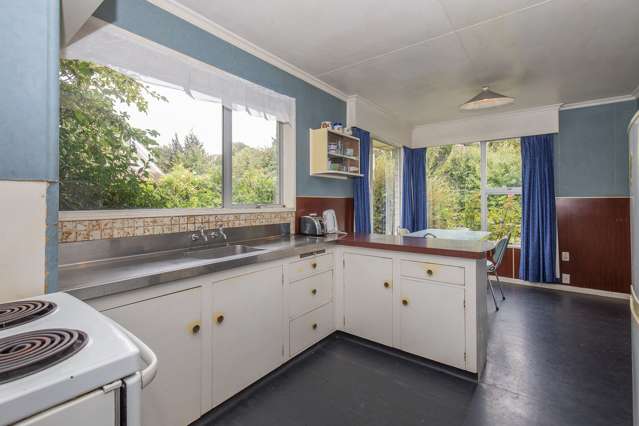 117 Totara Terrace Wanaka_1