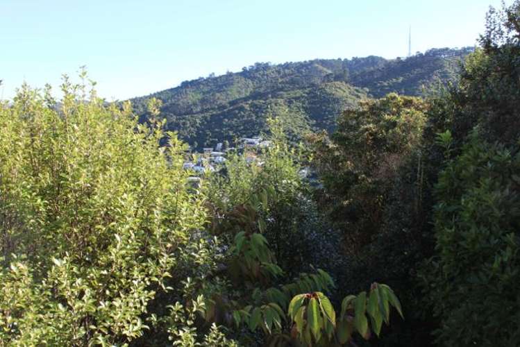 21 Imran Terrace Khandallah_7